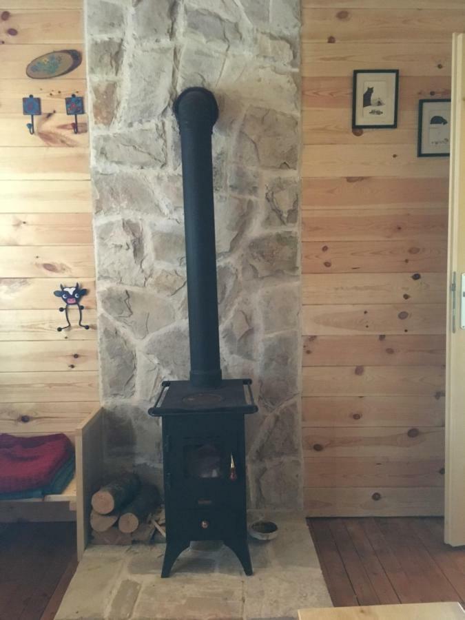 Cozy Cabin Žabljak Esterno foto