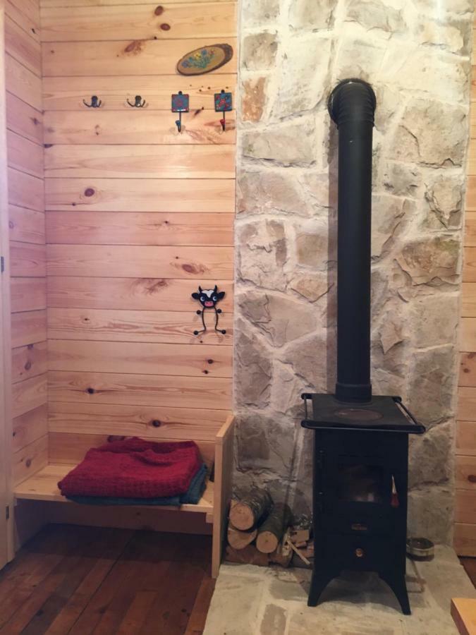 Cozy Cabin Žabljak Esterno foto